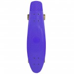 Yonker Skate Board {Plastic}